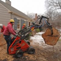 Branch Manager BMG Grapple Thomas Skid Steer Mini Loader