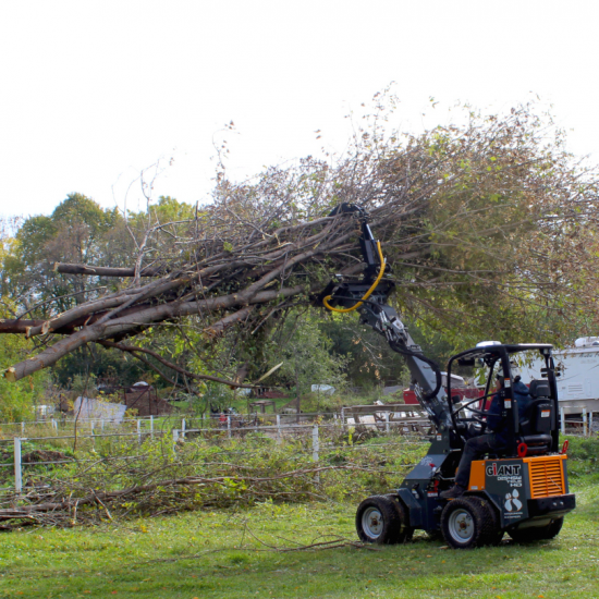 Giant 254T Loader carrying tree parts