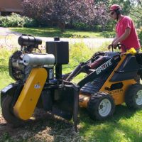 Branch Manager Stump grinder being used to grind a stump